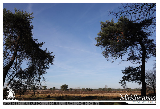 Strabrechtse Heide IMG_5541