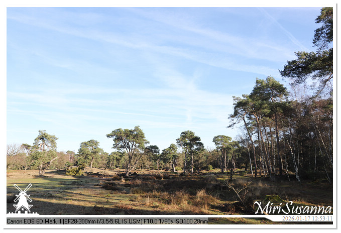 Strabrechtse Heide IMG_5543