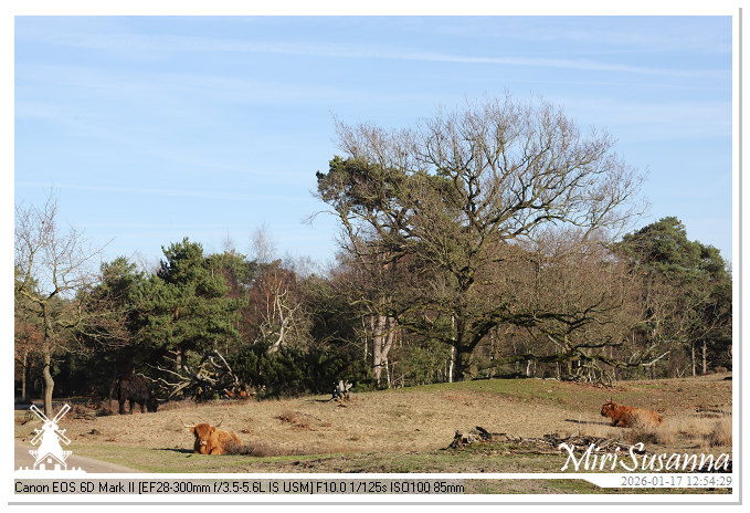 Strabrechtse Heide IMG_5547