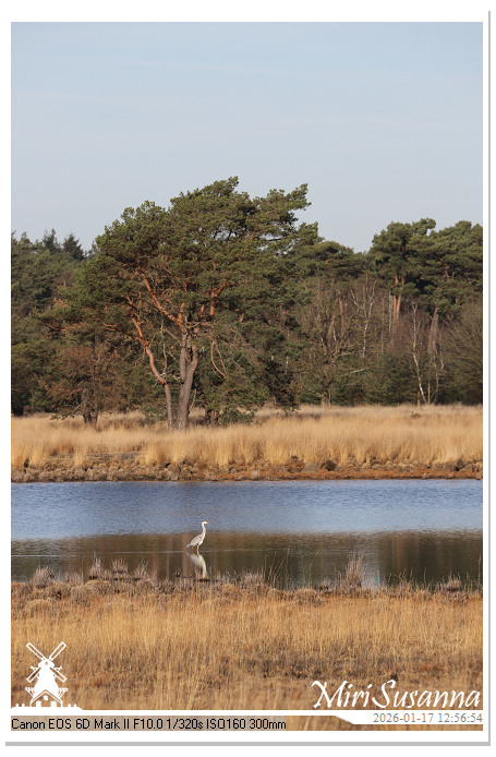 Strabrechtse Heide IMG_5556