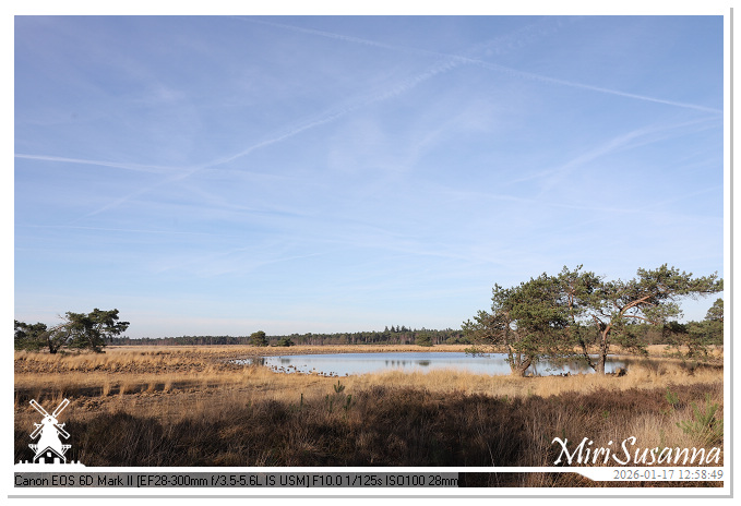 Strabrechtse Heide IMG_5568