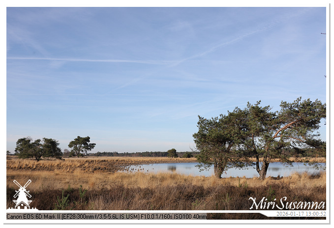 Strabrechtse Heide IMG_5581