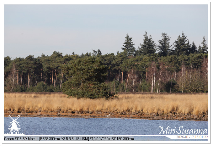 Strabrechtse Heide IMG_5582