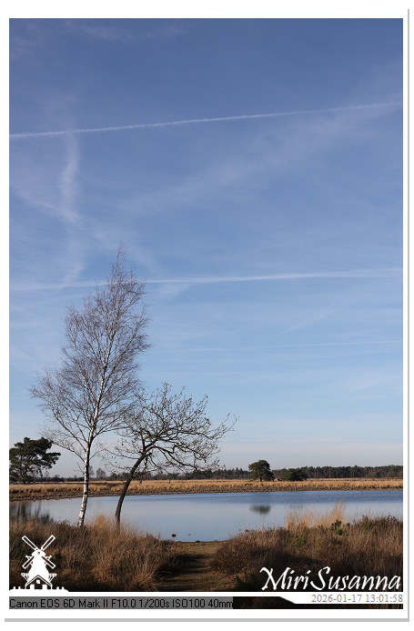 Strabrechtse Heide IMG_5583