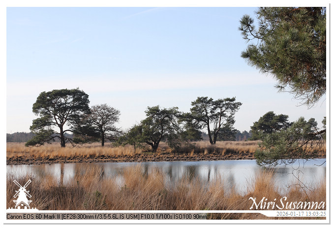 Strabrechtse Heide IMG_5585