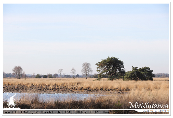 Strabrechtse Heide IMG_5594