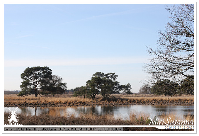 Strabrechtse Heide IMG_5595