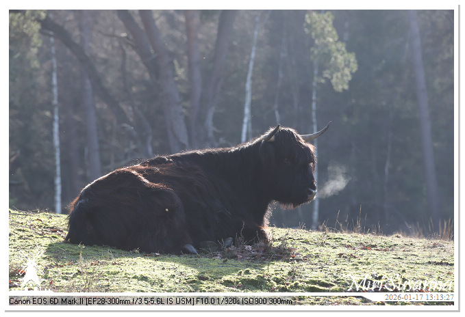 Strabrechtse Heide IMG_5609