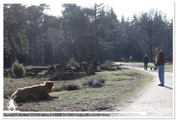 Strabrechtse Heide IMG_5611
