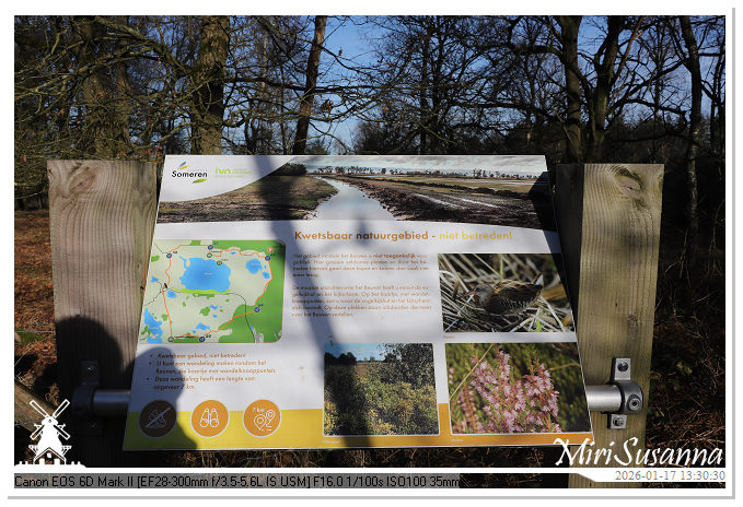 Strabrechtse Heide IMG_5624