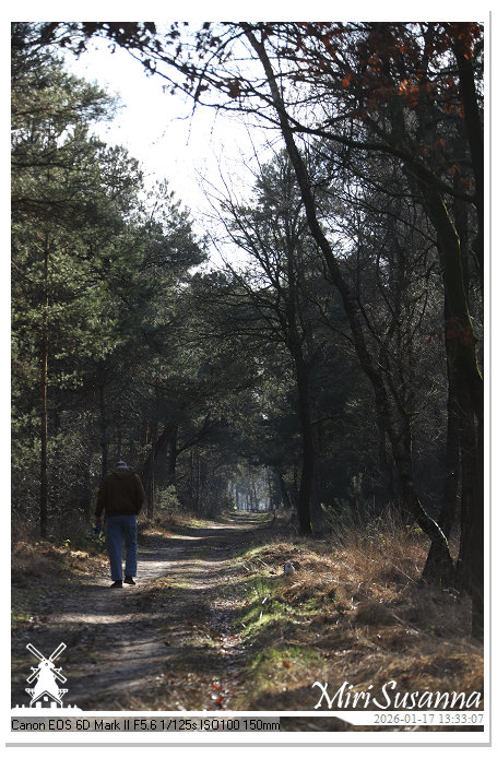 Strabrechtse Heide IMG_5628