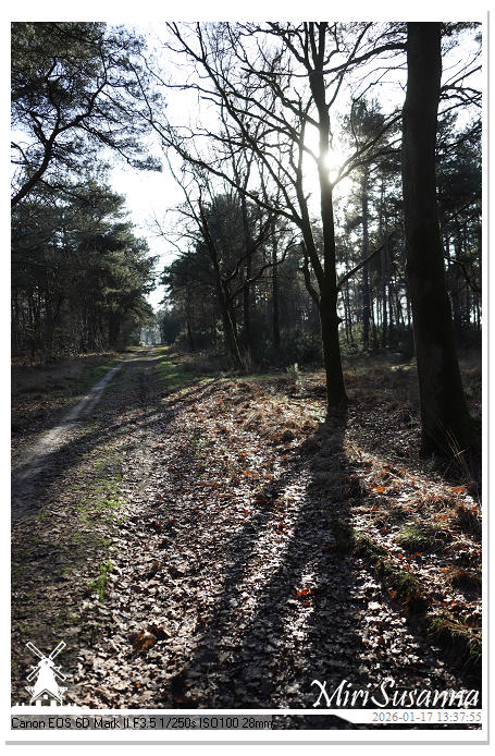 Strabrechtse Heide IMG_5631