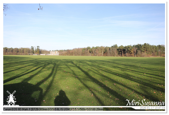 Strabrechtse Heide IMG_5639