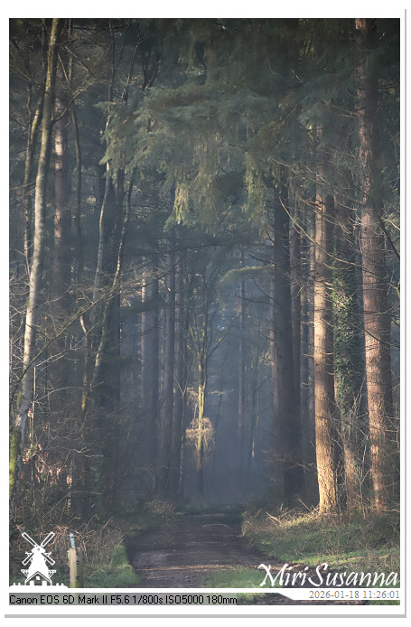 Amerongse Berg IMG_5642