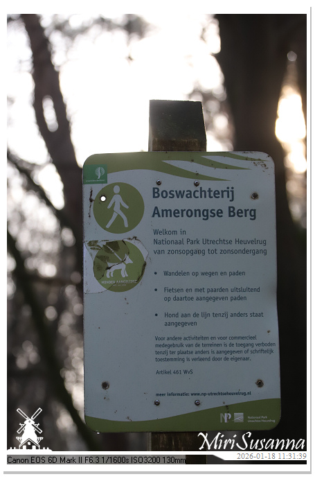 Amerongse Berg IMG_5647