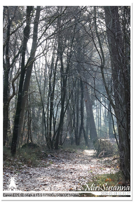 Amerongse Berg IMG_5648