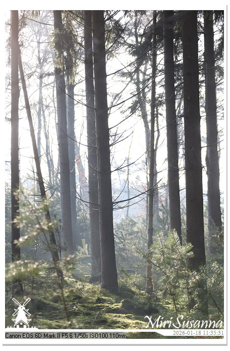 Amerongse Berg IMG_5654