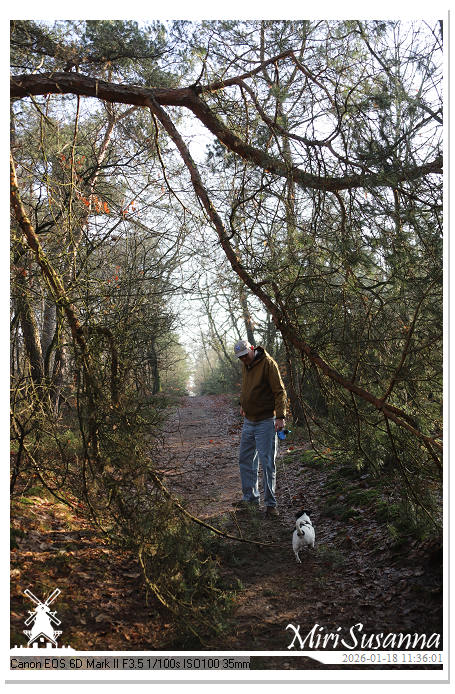 Amerongse Berg IMG_5655