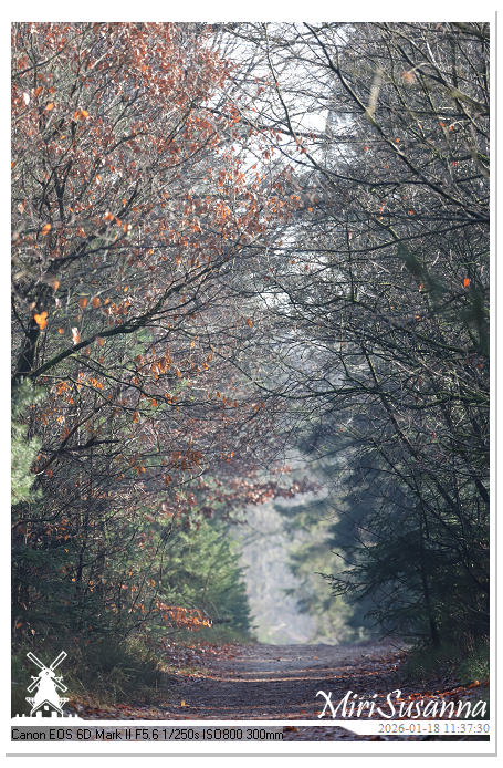 Amerongse Berg IMG_5658