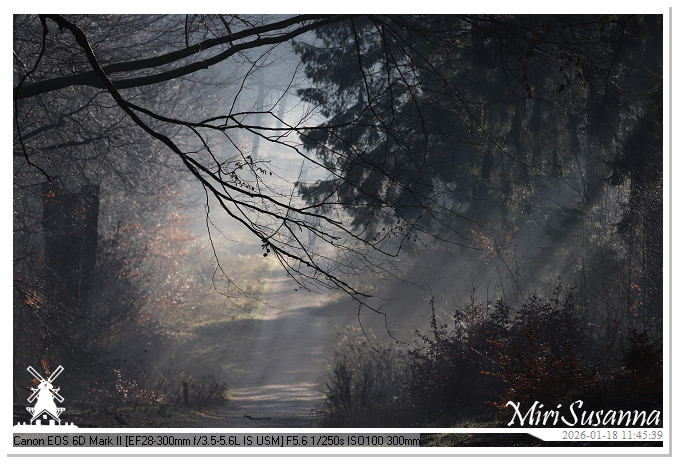 Amerongse Berg IMG_5666