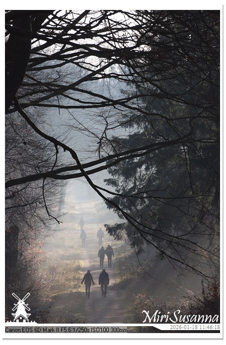 Amerongse Berg IMG_5668