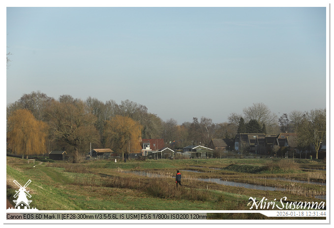 Amerongse Berg IMG_5673