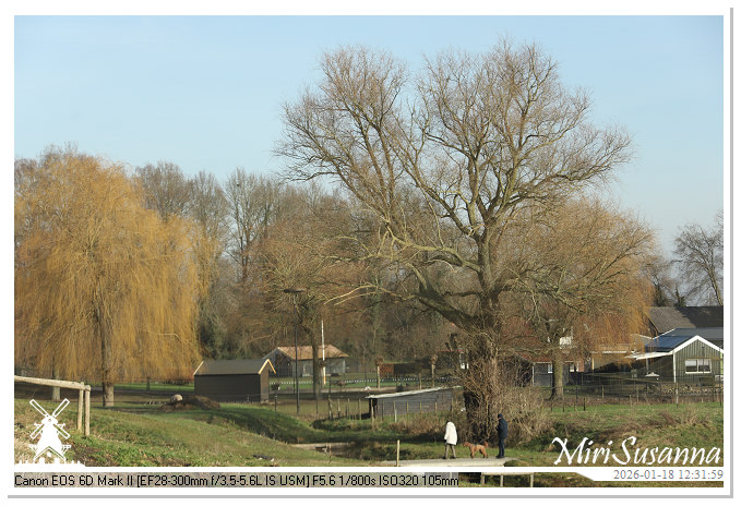 Amerongse Berg IMG_5675