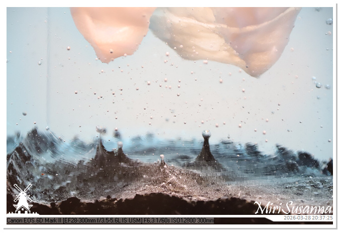 Living the Glass Age IMG_0430@MiriSusanna CC-BY-NC-ND Living the Glass Age IMG_0430