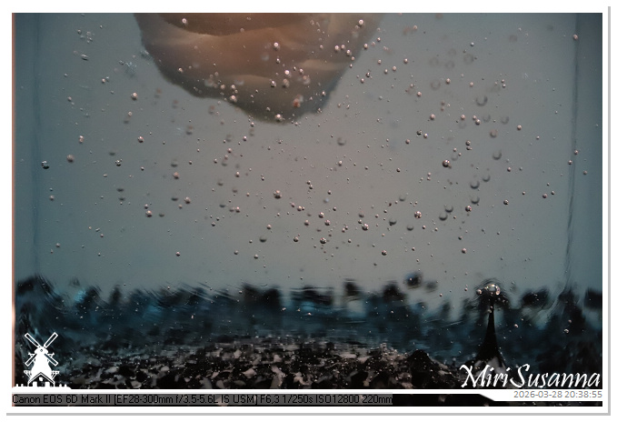 Living the Glass Age IMG_0432@MiriSusanna CC-BY-NC-ND Living the Glass Age IMG_0432