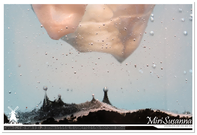 Living the Glass Age IMG_0434@MiriSusanna CC-BY-NC-ND Living the Glass Age IMG_0434