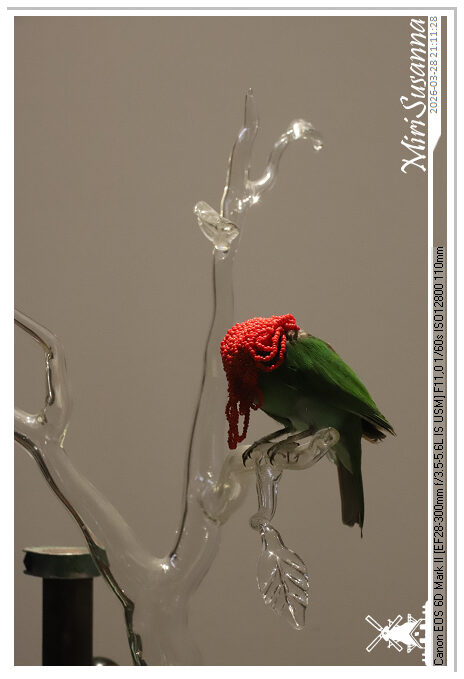 Living the Glass Age IMG_0499-rotated@MiriSusanna CC-BY-NC-ND Living the Glass Age IMG_0499-rotated