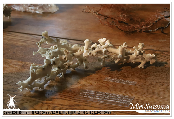 Living the Glass Age IMG_0515@MiriSusanna CC-BY-NC-ND Living the Glass Age IMG_0515