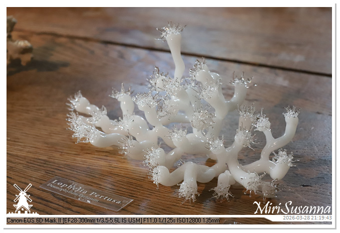 Living the Glass Age IMG_0516@MiriSusanna CC-BY-NC-ND Living the Glass Age IMG_0516