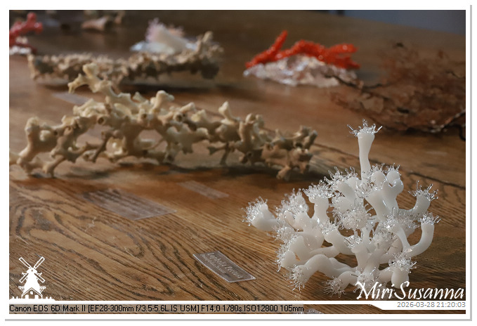 Living the Glass Age IMG_0517@MiriSusanna CC-BY-NC-ND Living the Glass Age IMG_0517