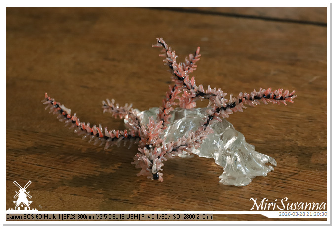 Living the Glass Age IMG_0519@MiriSusanna CC-BY-NC-ND Living the Glass Age IMG_0519