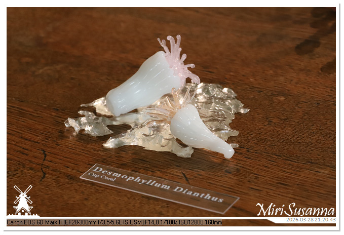 Living the Glass Age IMG_0520@MiriSusanna CC-BY-NC-ND Living the Glass Age IMG_0520