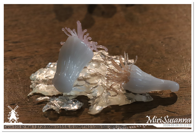 Living the Glass Age IMG_0521@MiriSusanna CC-BY-NC-ND Living the Glass Age IMG_0521