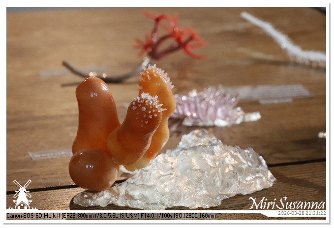 Living the Glass Age IMG_0522@MiriSusanna CC-BY-NC-ND Living the Glass Age IMG_0522