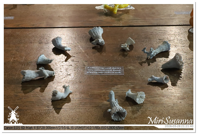 Living the Glass Age IMG_0523@MiriSusanna CC-BY-NC-ND Living the Glass Age IMG_0523