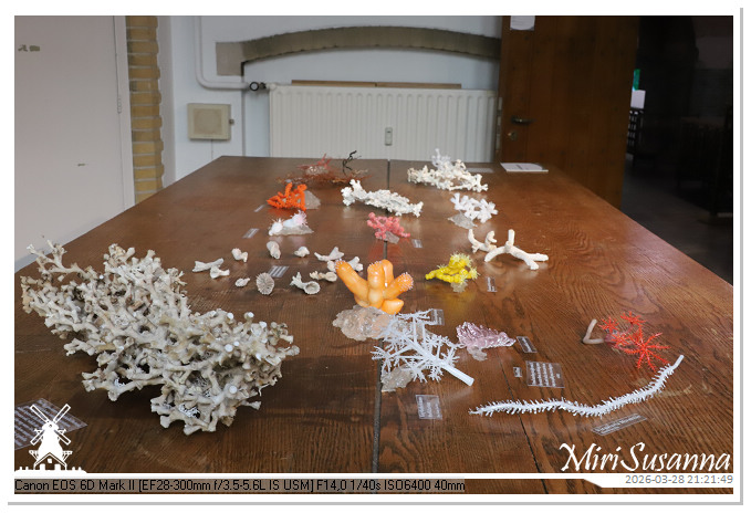 Living the Glass Age IMG_0524@MiriSusanna CC-BY-NC-ND Living the Glass Age IMG_0524