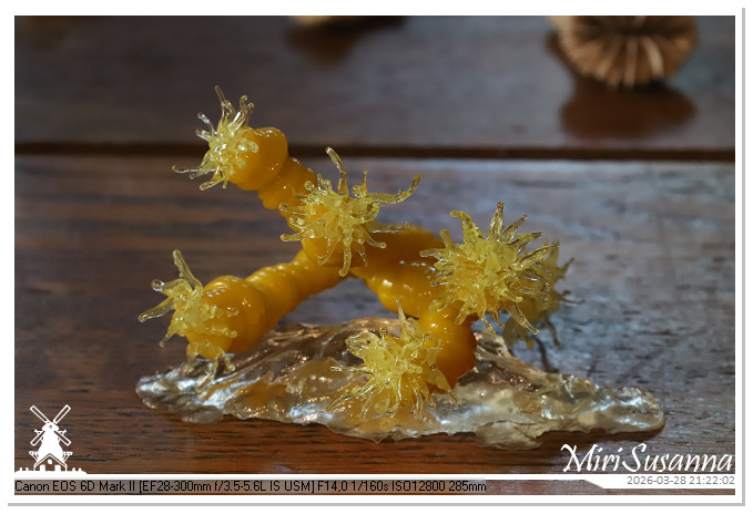 Living the Glass Age IMG_0526@MiriSusanna CC-BY-NC-ND Living the Glass Age IMG_0526