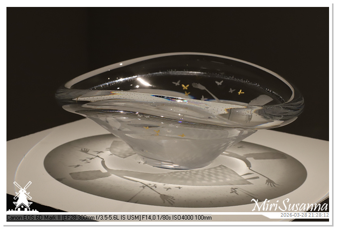 Living the Glass Age IMG_0535@MiriSusanna CC-BY-NC-ND Living the Glass Age IMG_0535