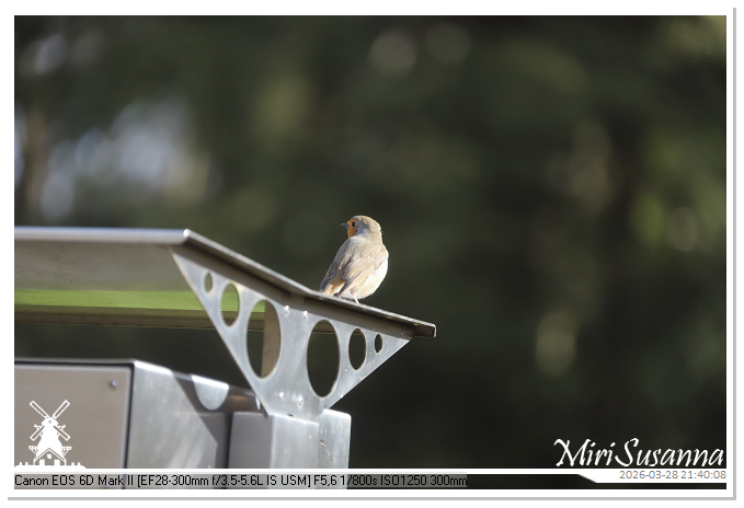 Living the Glass Age IMG_0561@MiriSusanna CC-BY-NC-ND Living the Glass Age IMG_0561