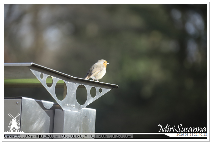 Living the Glass Age IMG_0564@MiriSusanna CC-BY-NC-ND Living the Glass Age IMG_0564