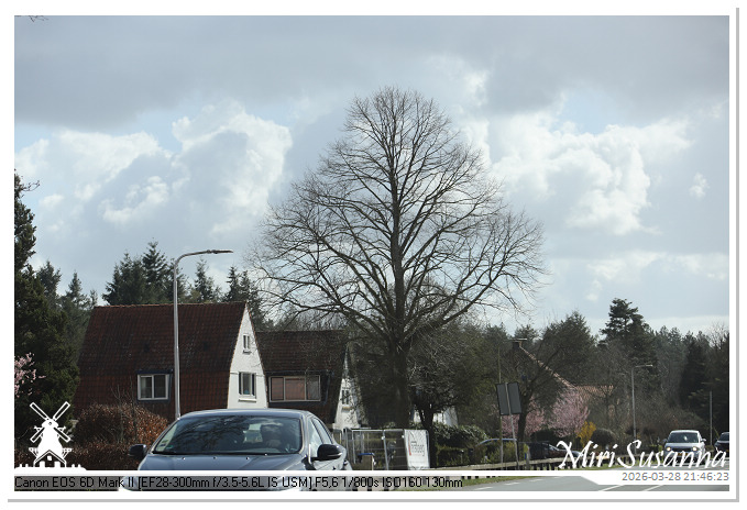 Living the Glass Age IMG_0565@MiriSusanna CC-BY-NC-ND Living the Glass Age IMG_0565