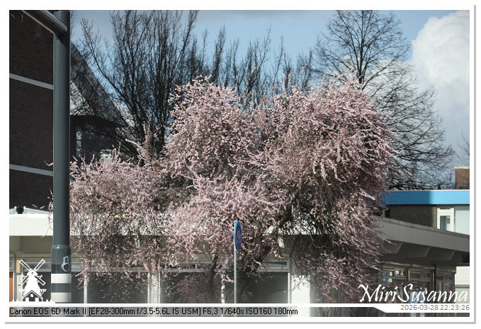 Living the Glass Age IMG_0573@MiriSusanna CC-BY-NC-ND Living the Glass Age IMG_0573