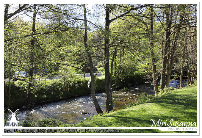 Camper Tour 1-D2 IMG_2529