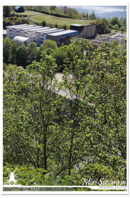Camper Tour 1-D2 IMG_2760