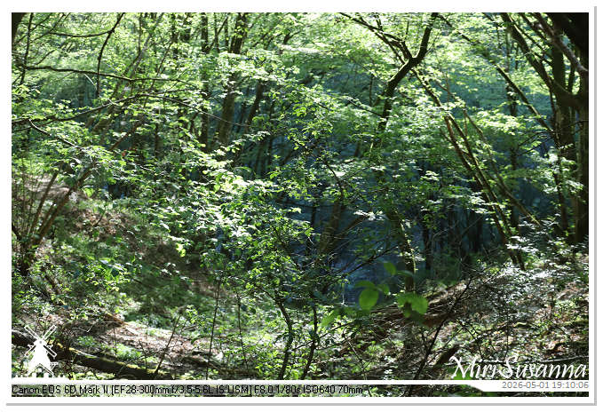 Camper Tour 1-D2 IMG_2802