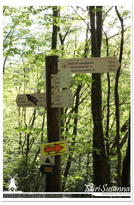 Camper Tour 1-D2 IMG_2805